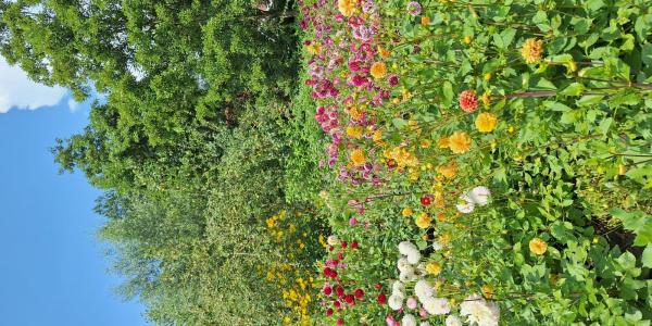 Als moederschap anders voelt: Waarom klachten signalen zijn (en wat jij kunt doen)