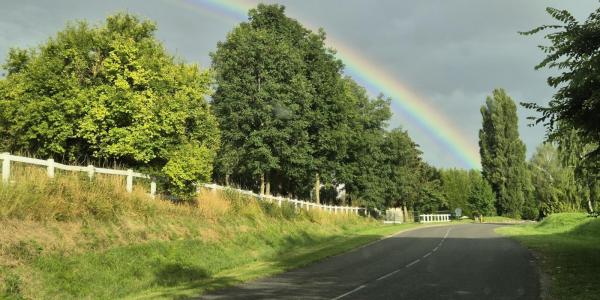 Wanneer je kinderwens nog een droom is – en je verlangt naar iets anders