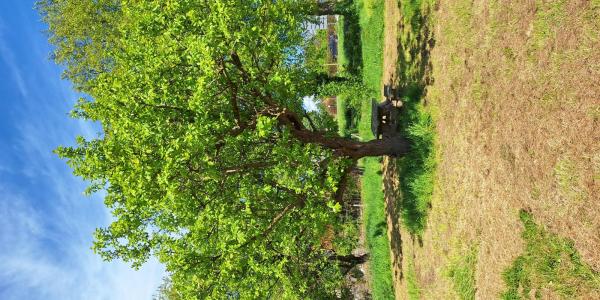 Waarom de klacht van je kind vaak meer vertelt dan je denkt